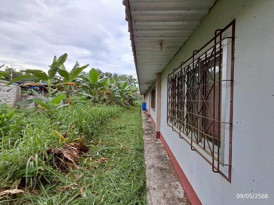 รูป บ้านเดี่ยว สำหรับขาย - วังมะปรางเหนือ วังวิเศษ ตรัง - รูปที่ 25/30