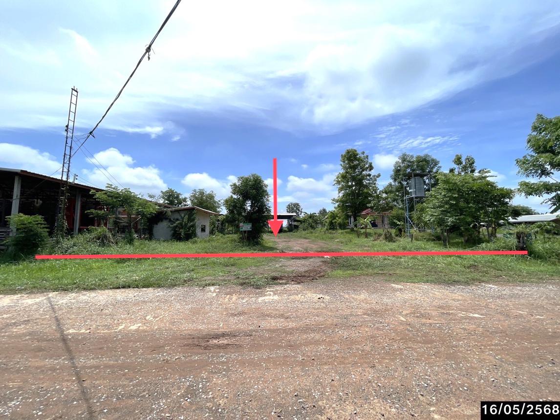 รูป บ้านเดี่ยว สำหรับขาย - ธาตุทอง ภูเขียว ชัยภูมิ - รูปที่ 20/30
