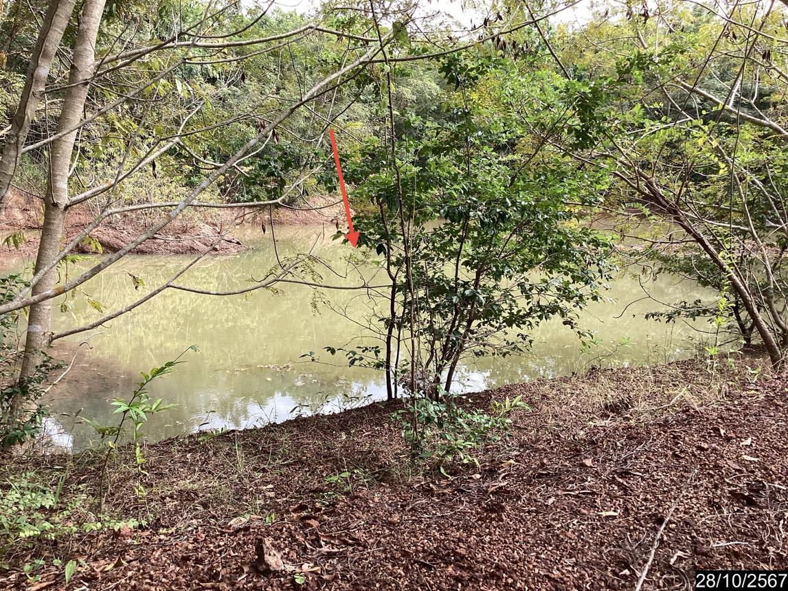 picture LAND for sale  Song Hong Muang Nong Khai Nongkai - 24/28