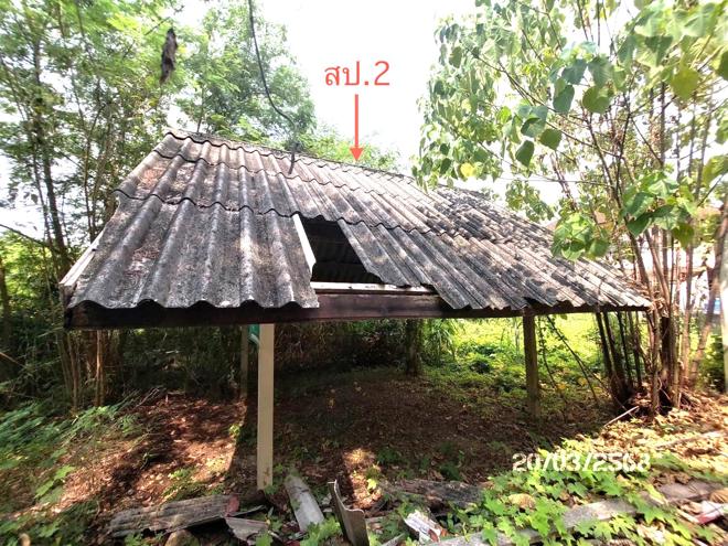 รูป บ้านเดี่ยว สำหรับขาย - มะขามเตี้ย เมืองสุราษฎร์ธานี สุราษฎร์ธานี - รูปที่ 10/34