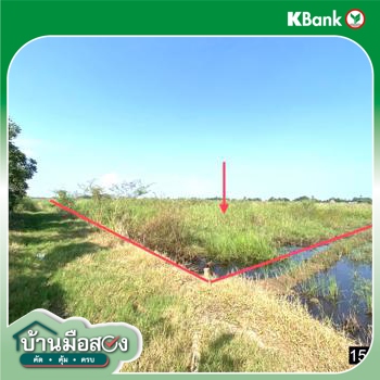 picture LAND for sale  Wang Phikun Wang Thong Phitsanulok - 14/16