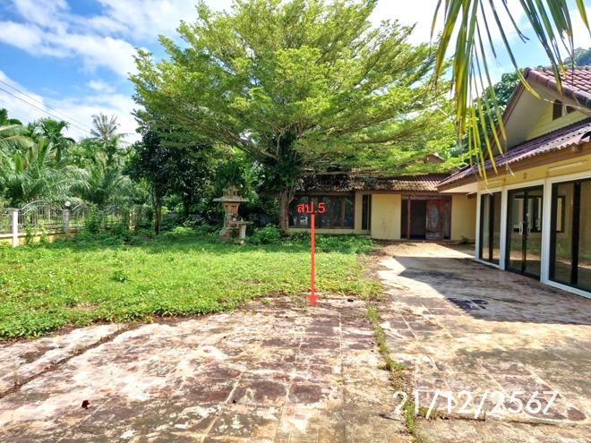 รูป บ้านเดี่ยว สำหรับขาย - นาพละ เมืองตรัง ตรัง - รูปที่ 11/32