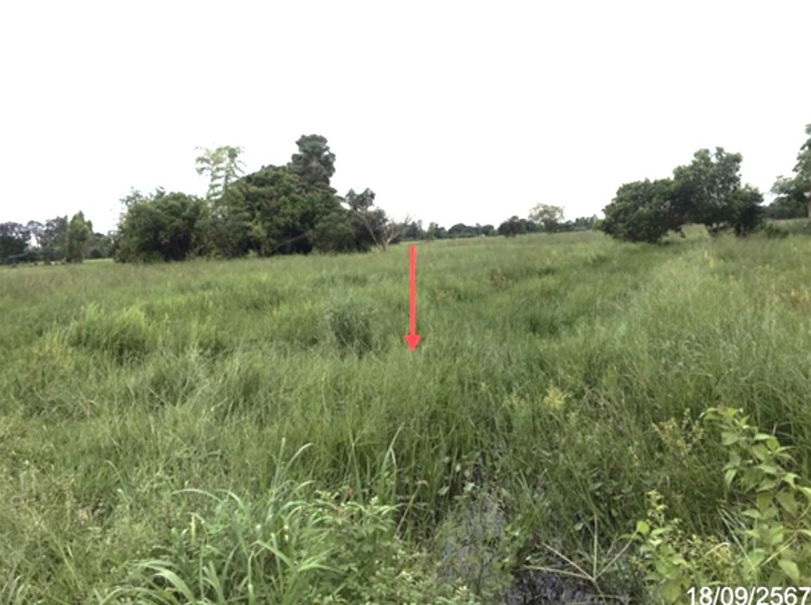 picture LAND for sale  Yo Kham Khuan Kaeo Yasothon - 15/20
