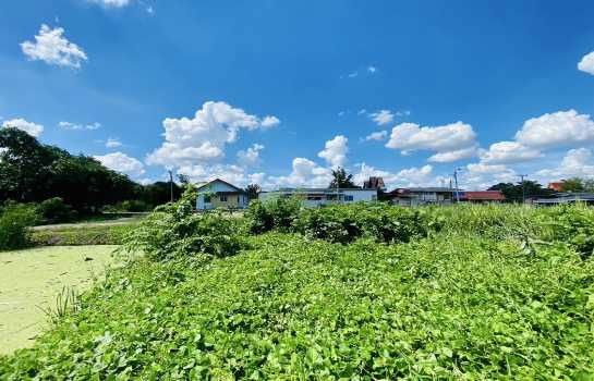 รูป ขาย ที่ดิน บางใหญ่ เสาธงหิน เนื้อที่ 1 ไร่ 1 งาน 22 ตรว - รูปที่ 5/11