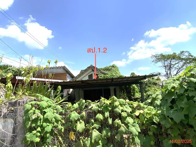 รูป บ้านเดี่ยว สำหรับขาย - นาโยงเหนือ นาโยง ตรัง - รูปที่ 9/46