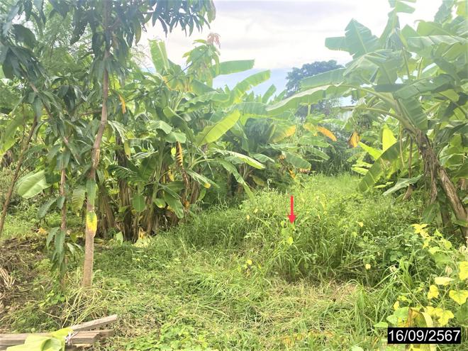 picture LAND for sale  Nai Muang Muang Khon Kaen Khon Kaen - 9/22