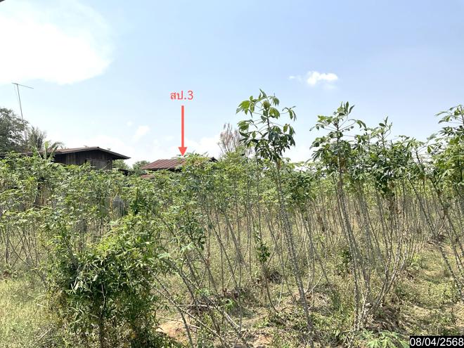 รูป บ้านเดี่ยว สำหรับขาย - หัวทะเล บำเหน็จณรงค์ ชัยภูมิ - รูปที่ 3/26