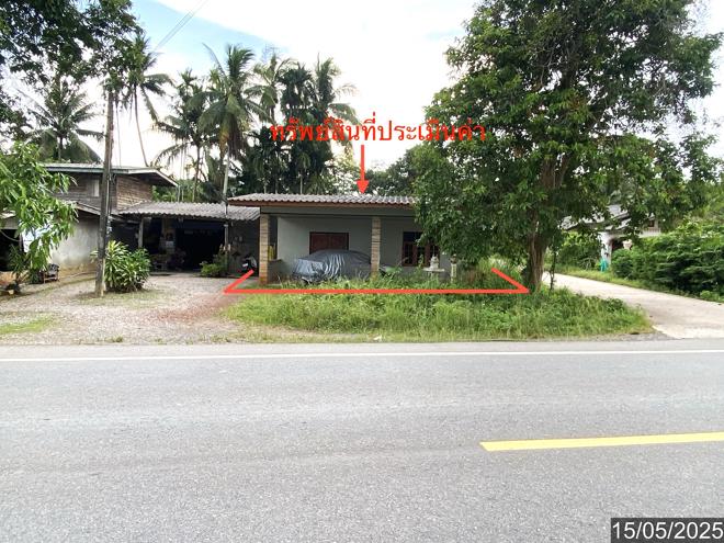 รูป บ้านเดี่ยว สำหรับขาย - หนองบัว รัษฎา ตรัง - รูปที่ 1/24