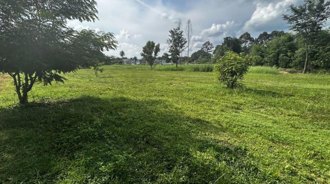 picture LAND for sale  Sa Kaeo Muang Sa Kaeo Srakaeo - 1/14