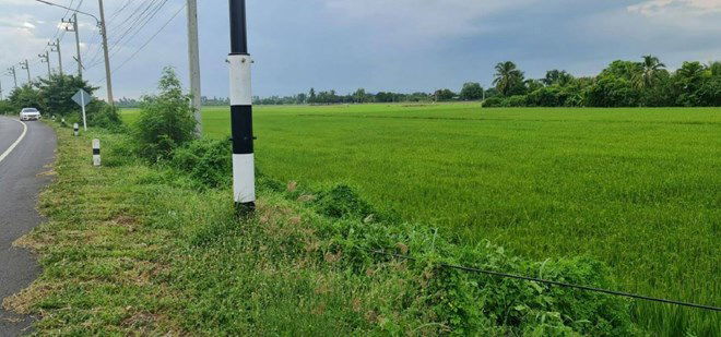 picture LAND for sale  Pho Phraya Muang Suphanburi Suphanburi - 5/14