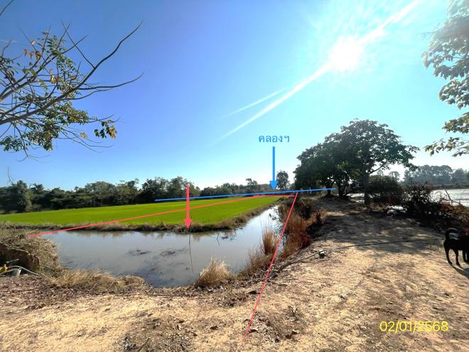 picture LAND for sale  Wang Phikun Wang Thong Phitsanulok - 6/18