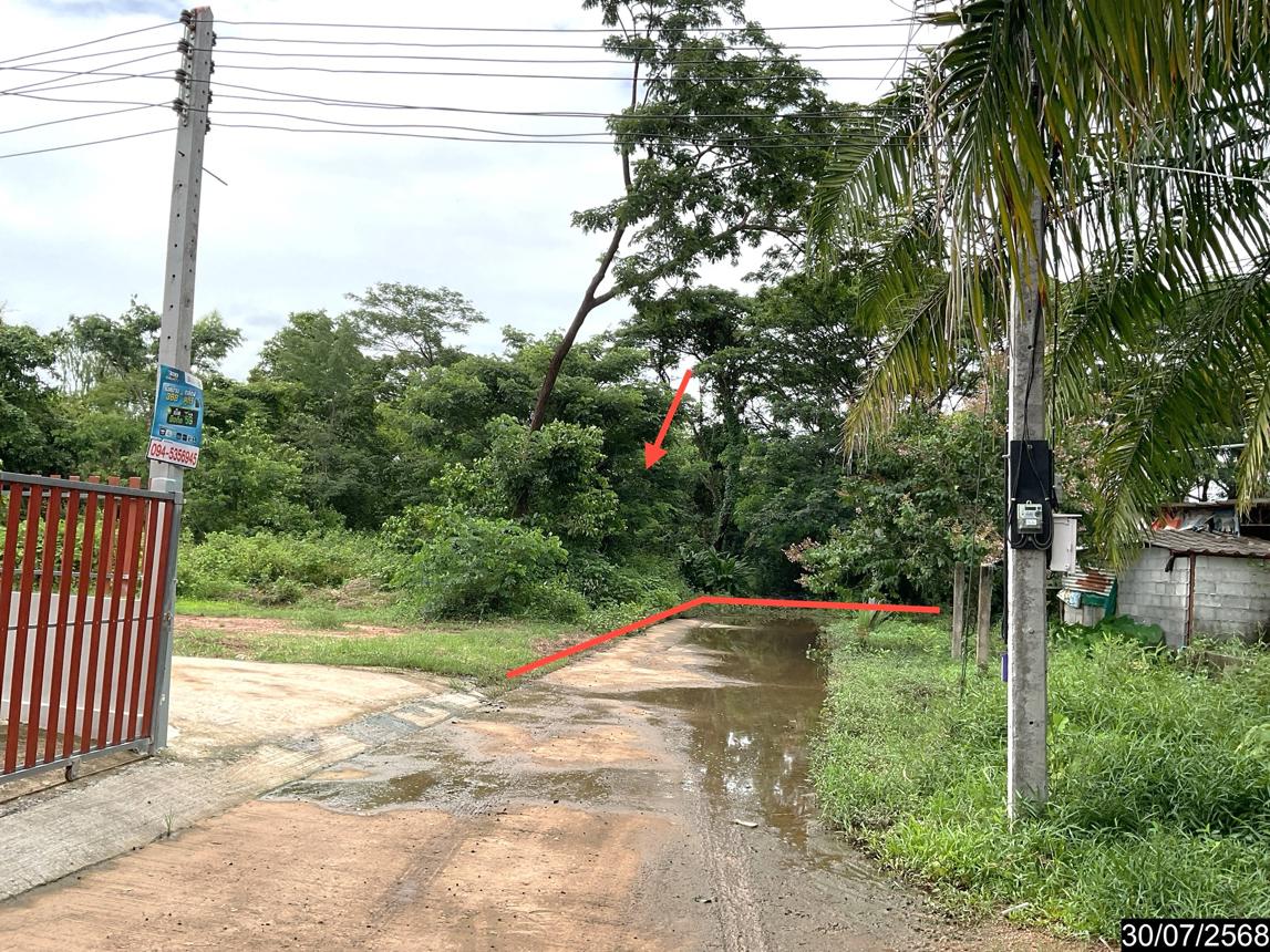 รูป ที่ดินว่างเปล่า สำหรับขาย - หมูม่น เมืองอุดรธานี อุดรธานี - รูปที่ 10/18