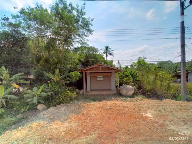 รูป บ้านเดี่ยว สำหรับขาย - เขาพนม เขาพนม กระบี่ - รูปที่ 2/28