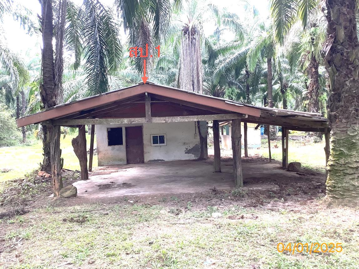 รูป บ้านเดี่ยว สำหรับขาย - วังมะปรางเหนือ วังวิเศษ ตรัง - รูปที่ 17/36