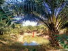 listing thumbnail image 5