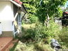 listing thumbnail image 23