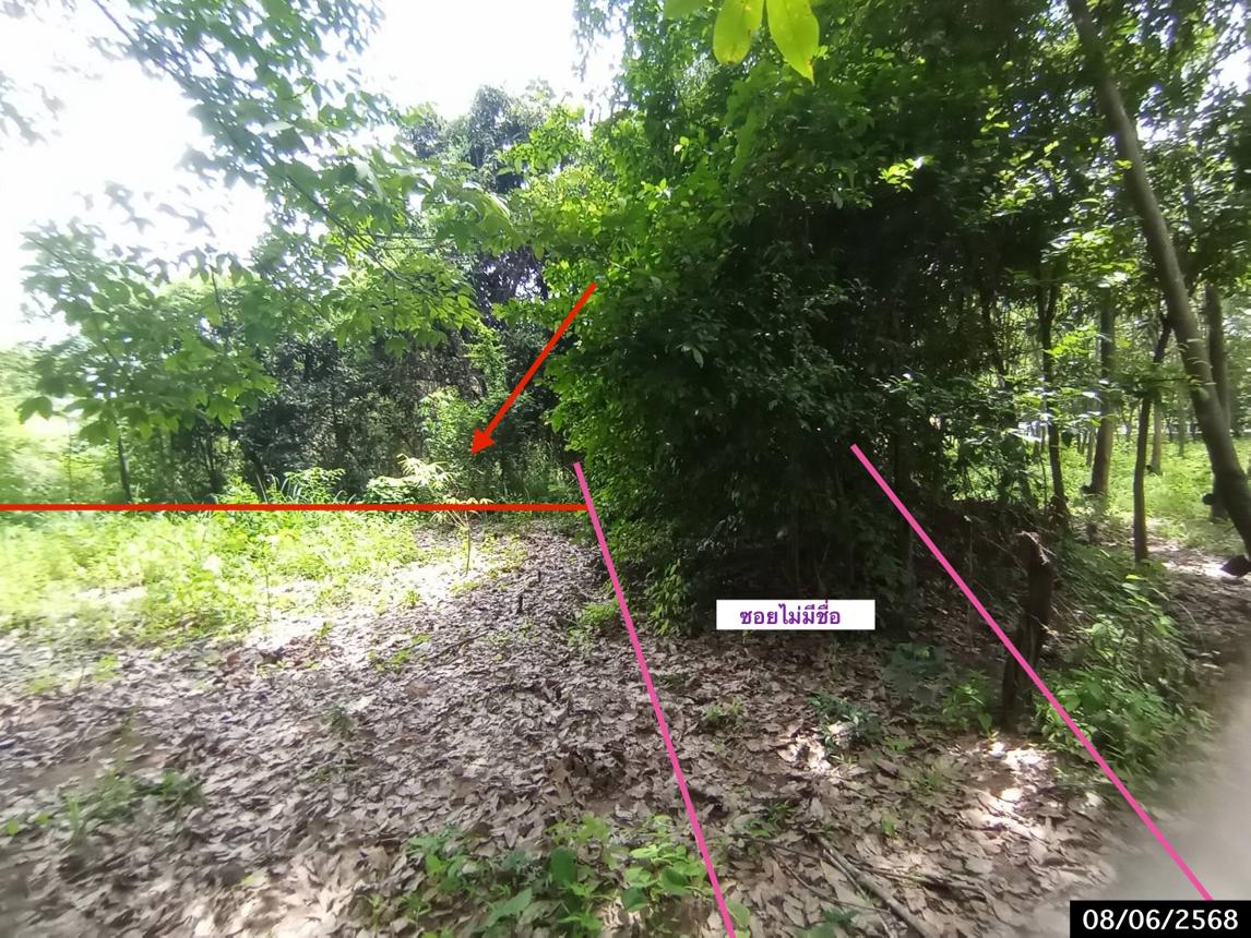 picture LAND for sale  Song Dao Song Dao Sakon Nakhon - 17/24