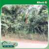 listing thumbnail image 25