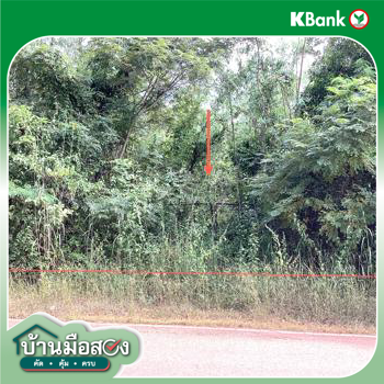 picture LAND for sale  Song Hong Muang Nong Khai Nongkai - 26/28