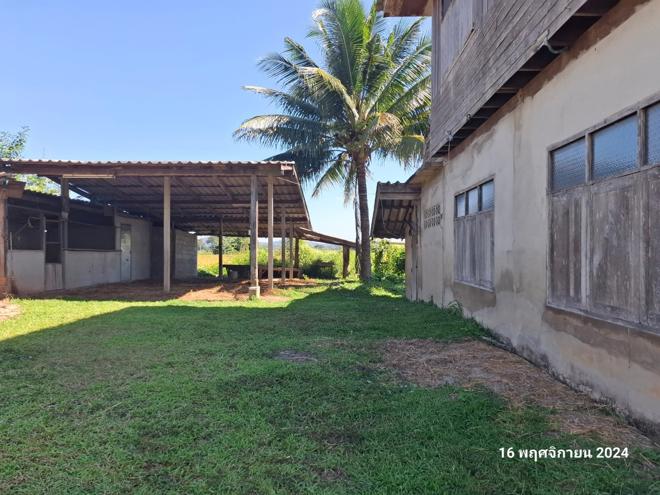 picture HOME for sale  Tha Cham Pi Muang Phayao Phayao - 3/46