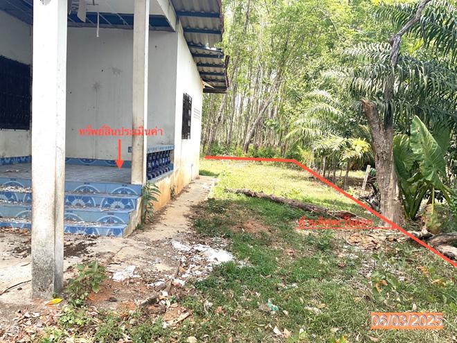 รูป บ้านเดี่ยว สำหรับขาย - บ้านนา ปะเหลียน ตรัง - รูปที่ 7/20