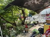 listing thumbnail image 20