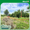 listing thumbnail image 11