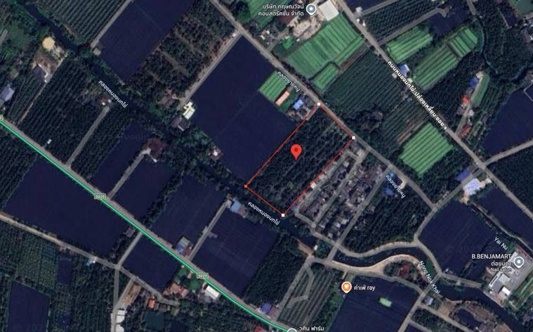 ขายด่วน! ที่ดินพร้อมสวนมะพร้าวบ้านแพ้วกว่า 8 ไร่! ราคาดี ในหนองนกไข่ กระทุ่มแบน สมุทรสาคร ผังเมืองเขียวลาย หน้ากว้าง 80 เมตร ลึก 160 เมตร 
