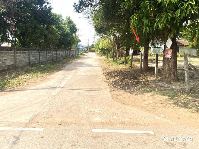 รูป ที่ดินว่างเปล่า สำหรับขาย - หนองใหญ่ โพนทอง ร้อยเอ็ด - รูปที่ 8/24