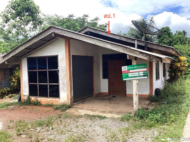 รูป บ้านเดี่ยว สำหรับขาย - ท่าแพ ท่าแพ สตูล - รูปที่ 1/16
