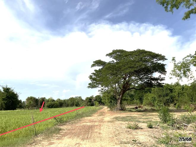 picture LAND for sale  Lup Muang Kalasin Kalasin - 4/22