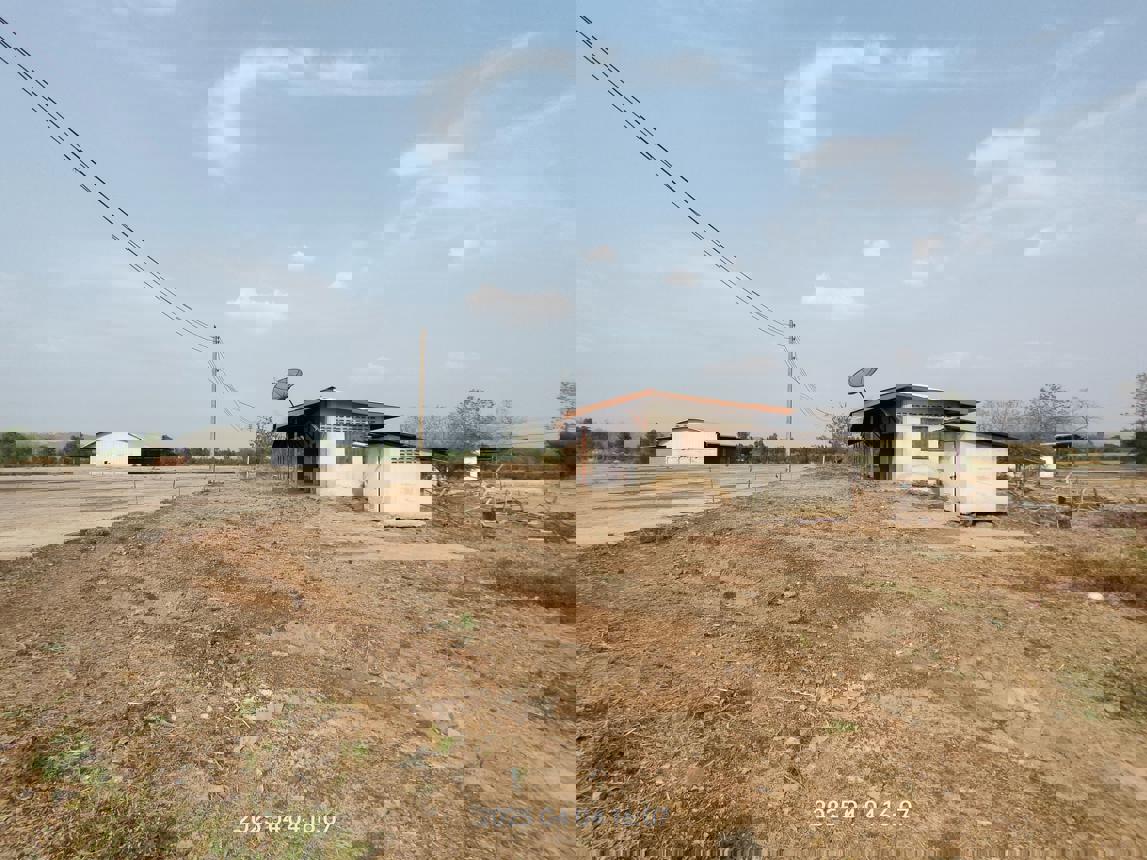 รูป อาคารโรงงาน สำหรับขาย - ท่าข้าม ชนแดน เพชรบูรณ์ - รูปที่ 31/46