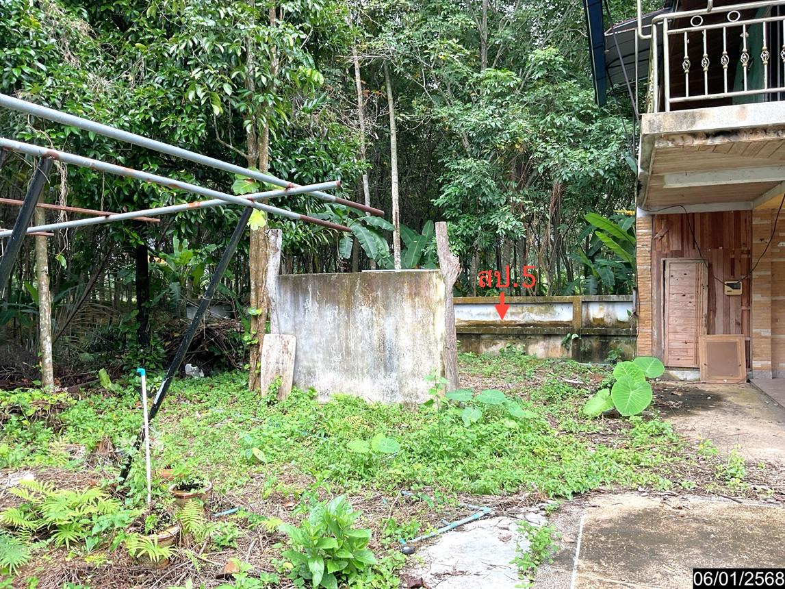 picture HOME for sale  Thon Hong Phrommakhiri Nakhon Sri Thammarat - 34/40