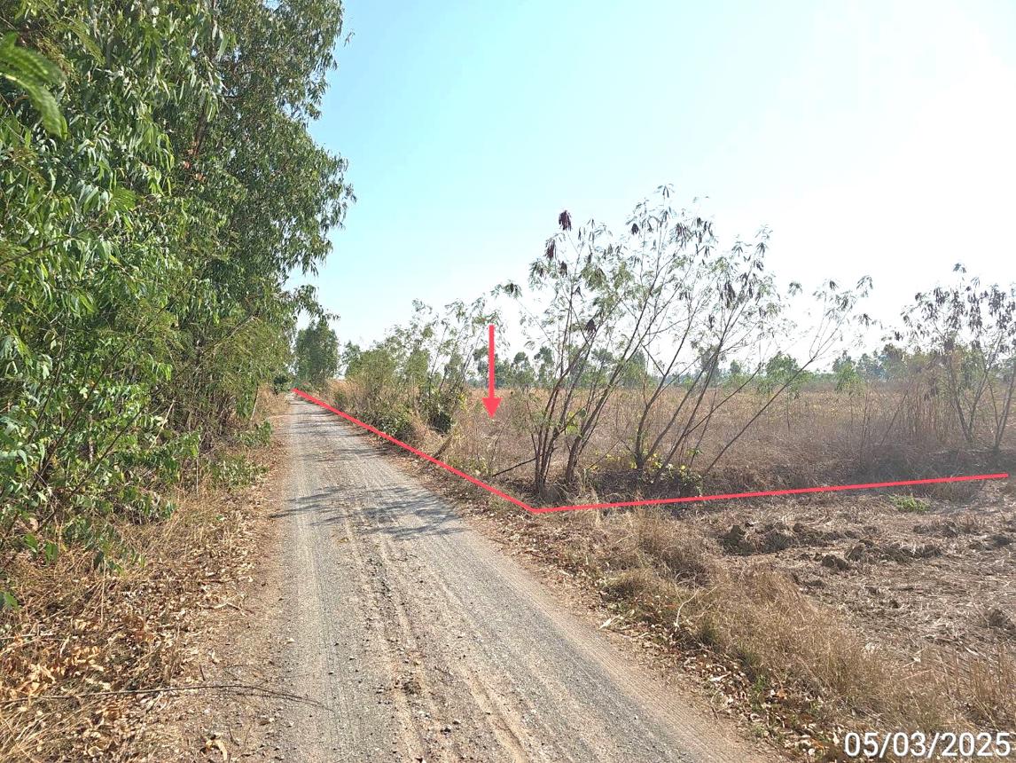 picture LAND for sale  Mae Raka Wang Thong Phitsanulok - 6/14