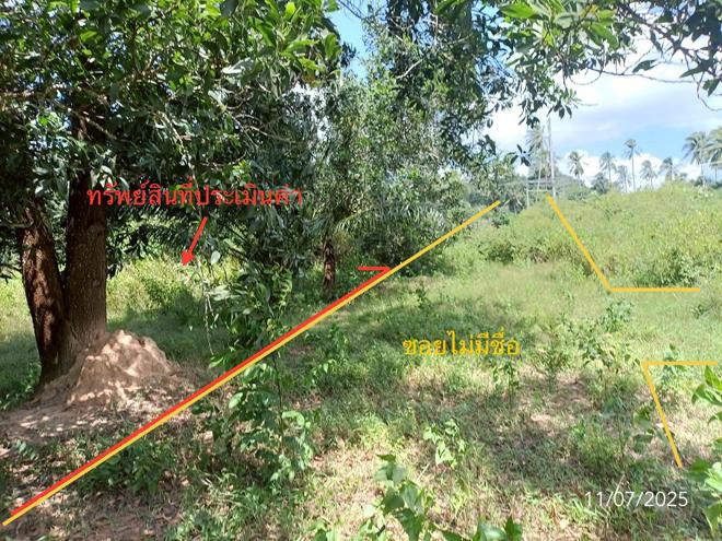 picture LAND for sale  Wang Maprang Nua Wang Wiset Trang - 10/24