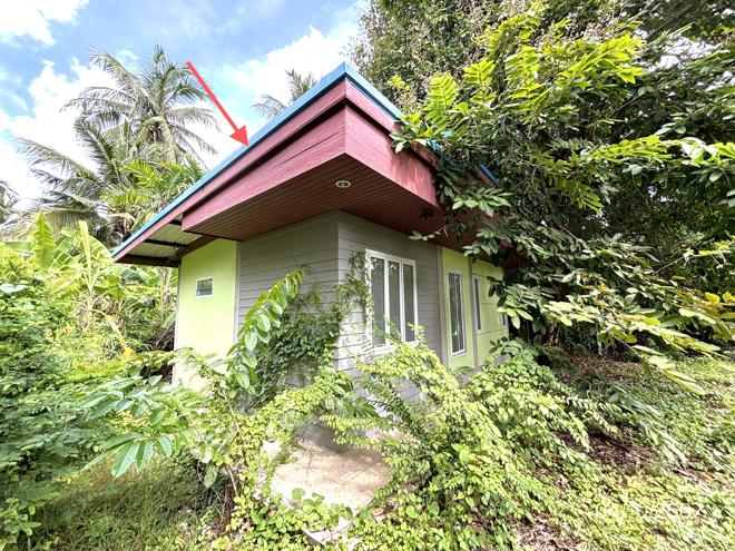 picture HOME for sale  Don Kruai Damnoen Saduak Ratchburi - 9/40