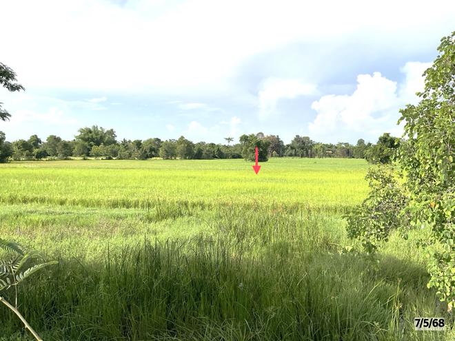 picture LAND for sale  Lup Muang Kalasin Kalasin - 8/22