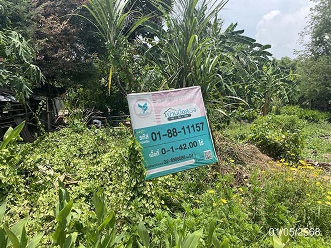picture LAND for sale  Sa Kaeo Muang Sa Kaeo Srakaeo - 4/24