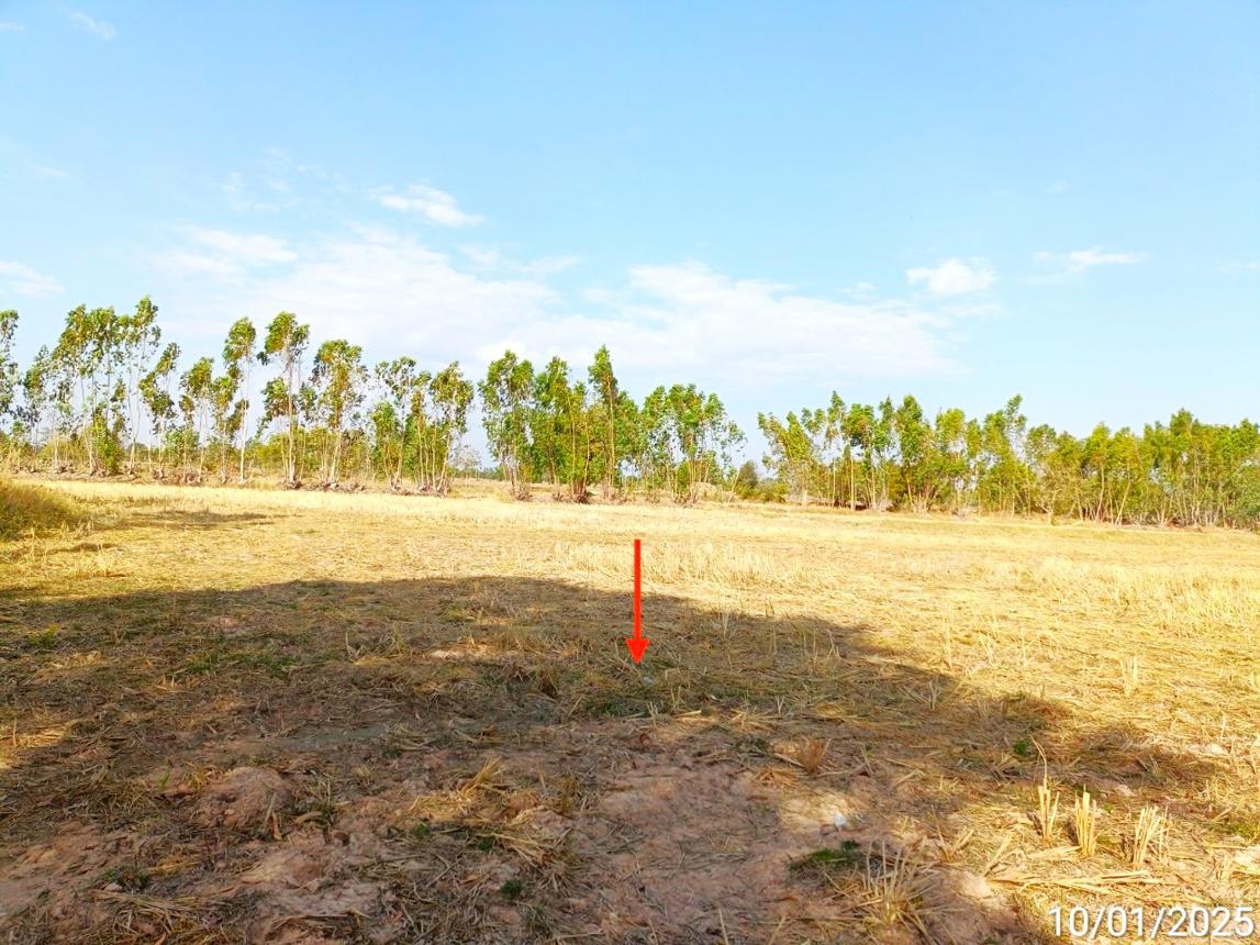 picture LAND for sale  Nam Sai Chaturaphak Phiman Roi Et - 8/14