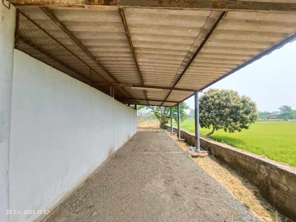 picture HOME for sale  Huai Kaeo Phu Kam Yao Phayao - 56/60