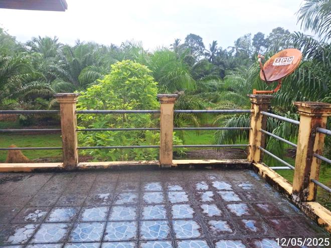 รูป บ้านเดี่ยว สำหรับขาย - เขาวิเศษ วังวิเศษ ตรัง - รูปที่ 19/44