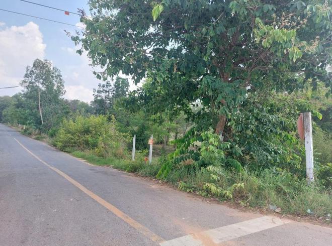 picture LAND for sale  Nong Waeng Muang Roi Et Roi Et - 1/10