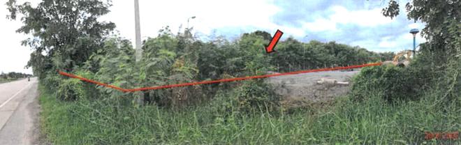 picture LAND for sale  Rua Yai Muang Suphanburi Suphanburi - 2/14