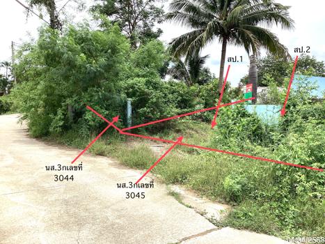 รูป บ้านเดี่ยว สำหรับขาย - วังก์พง ปราณบุรี ประจวบคีรีขันธ์ - รูปที่ 13/16