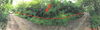 listing thumbnail image 25