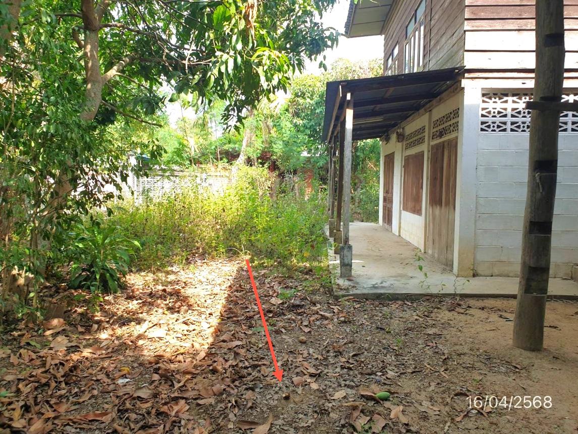 รูป บ้านเดี่ยว สำหรับขาย - ศรีเตี้ย บ้านโฮ่ง ลำพูน - รูปที่ 32/38