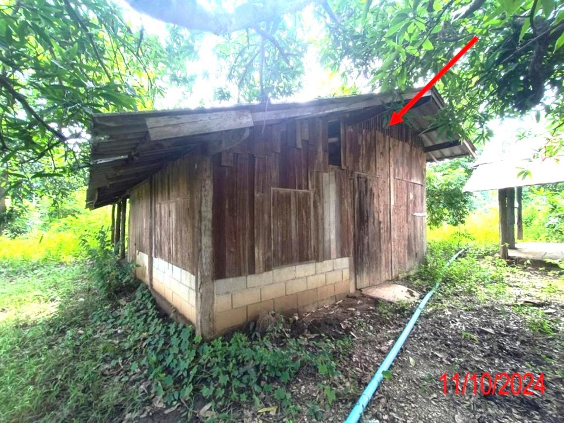 รูป บ้านเดี่ยว สำหรับขาย - หนองปลาสะวาย บ้านโฮ่ง ลำพูน - รูปที่ 14/30