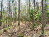 listing thumbnail image 25