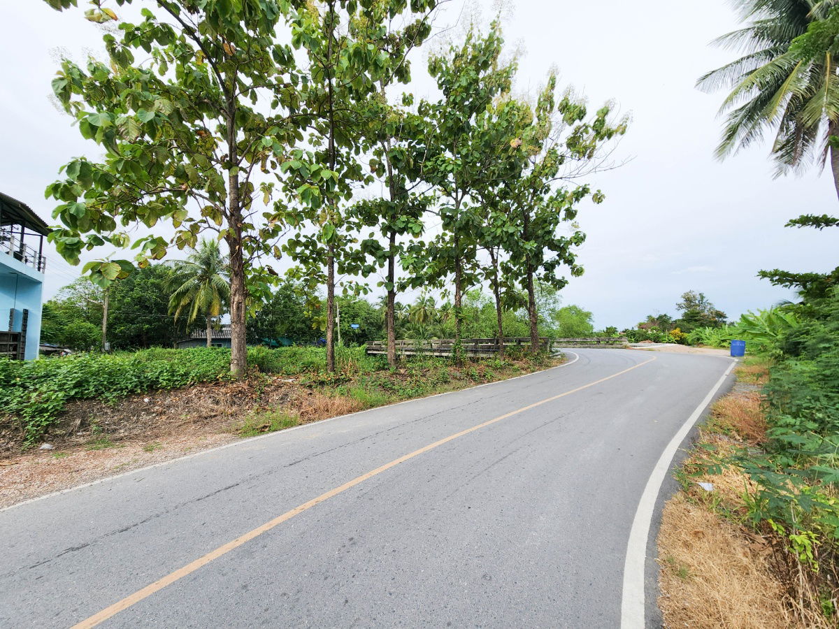 รูป ขายด่วน! ที่ดินพร้อมสวนมะพร้าวบ้านแพ้วกว่า 8 ไร่! ราคาดี ในหนองนกไข่ กระทุ่มแบน สมุทรสาคร ผังเมืองเขียวลาย หน้ากว้าง 80 เมตร ลึก 160 เมตร  - รูปที่ 13/17