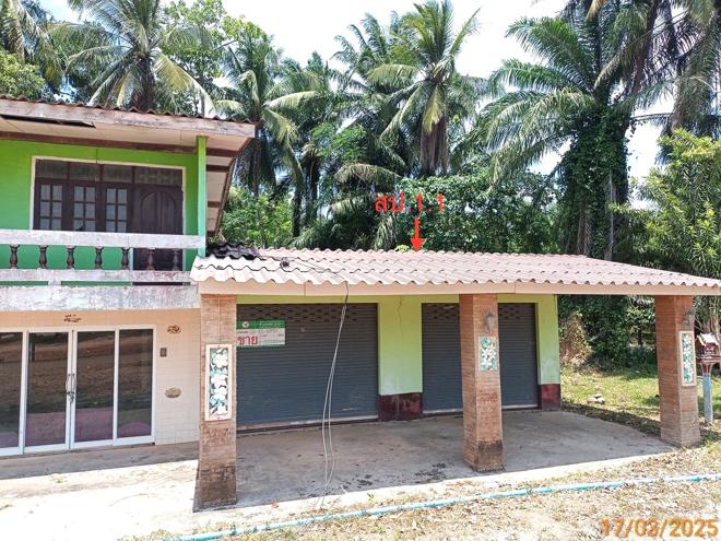 รูป บ้านเดี่ยว สำหรับขาย - เขาวิเศษ วังวิเศษ ตรัง - รูปที่ 10/34